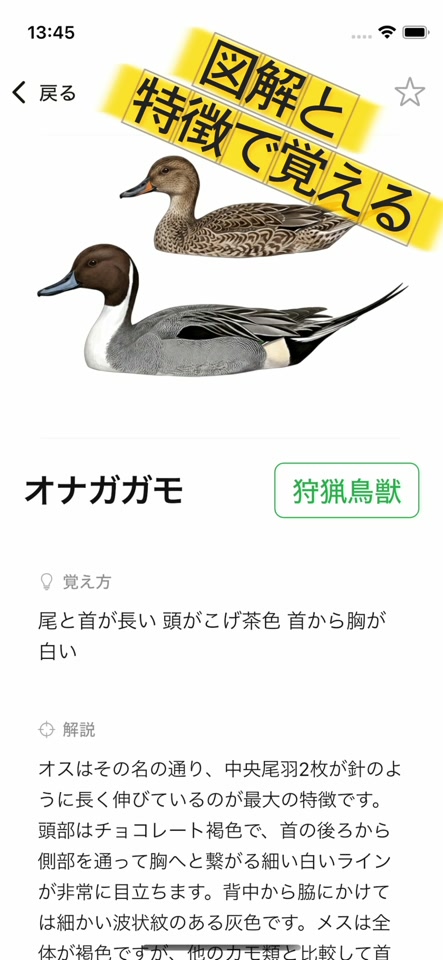 種の詳細画面