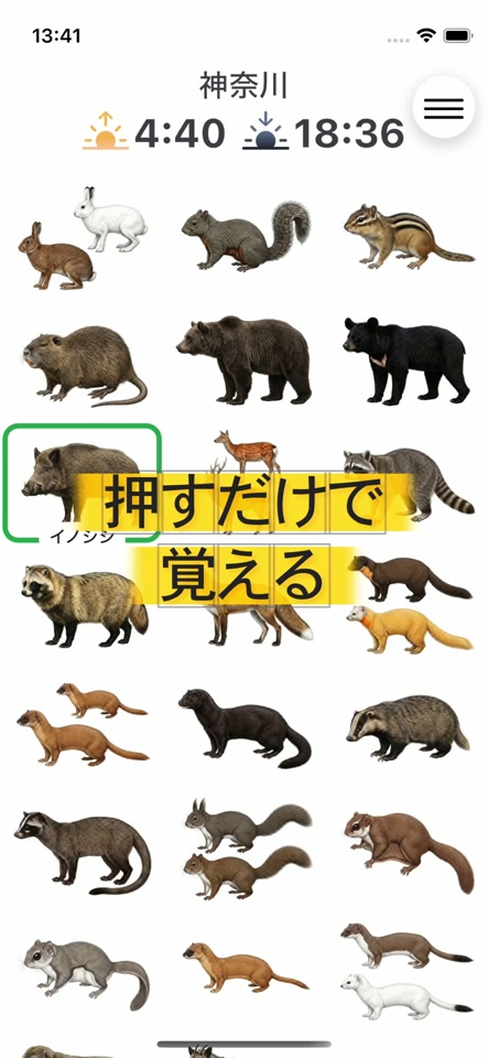 図鑑一覧画面