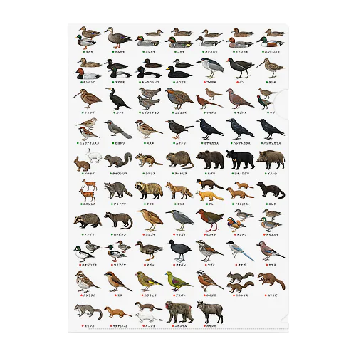 SUZURIの鳥獣判別68種 クリアファイル